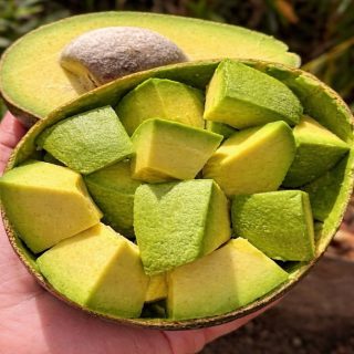 El poder del aguacate: lo que este fruto puede hacer por tu cuerpo
