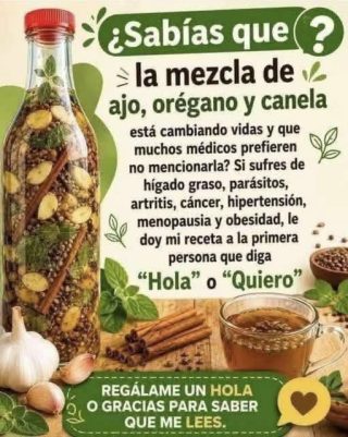 Descubre porque el orégano es la hierba más poderosa que hay y nunca debe faltar en tu dieta