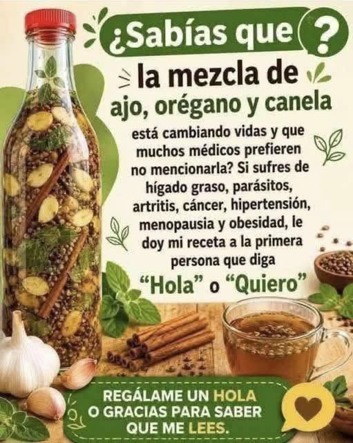 Descubre porque el orégano es la hierba más poderosa que hay y nunca debe faltar en tu dieta