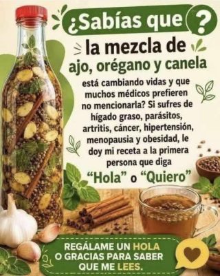 Descubre porque el orégano es la hierba más poderosa que hay y nunca debe faltar en tu dieta