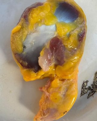Sabías que si consumes las mollejas de pollo no tienes que tomar…