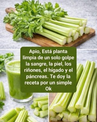 5 recetas de jugos détox para incorporar en tu rutina