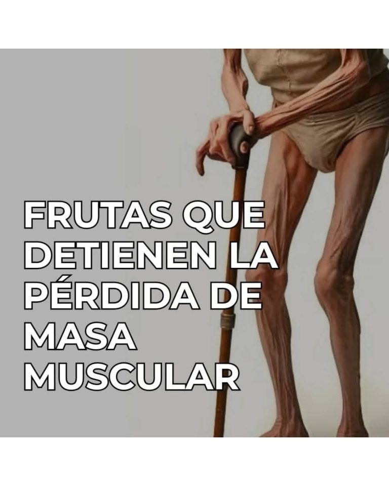 Qué Comer para Subir la Energía Después de los 60 Años: Alimentos Clave para Vitalidad y Bienestar