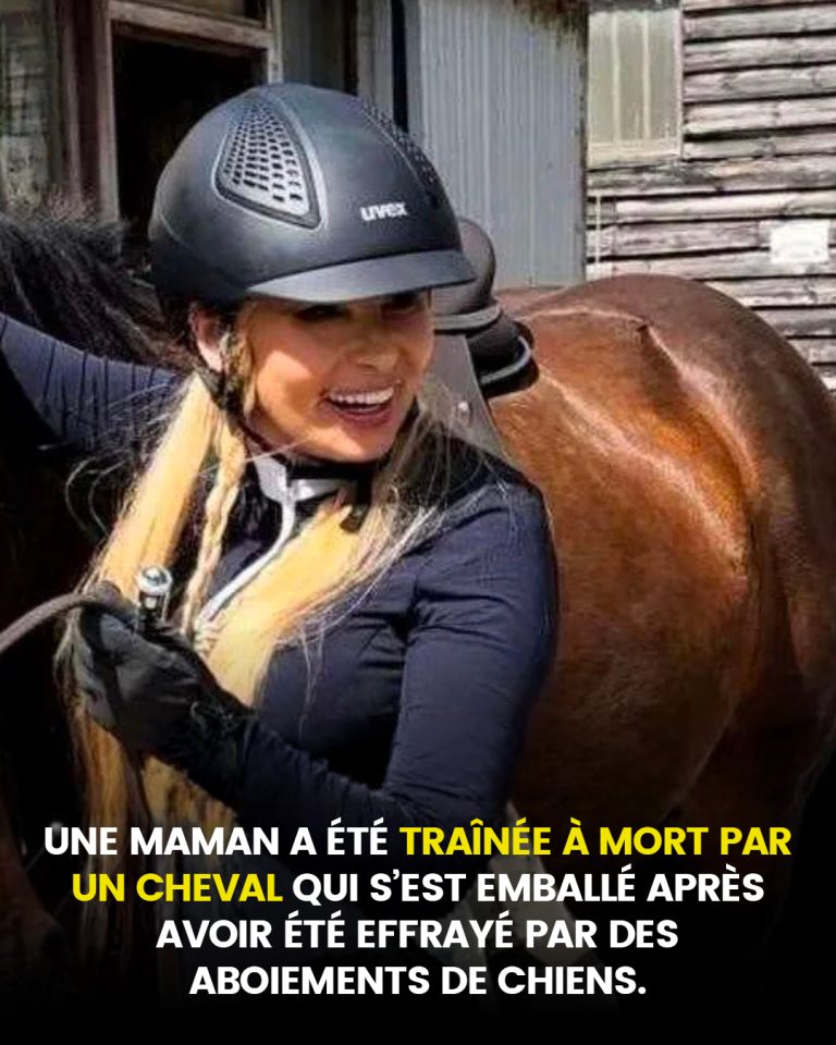 Une maman traînée sur une route de campagne et tuée par un cheval qui s’est emballé, effrayé par les aboiements de chiens