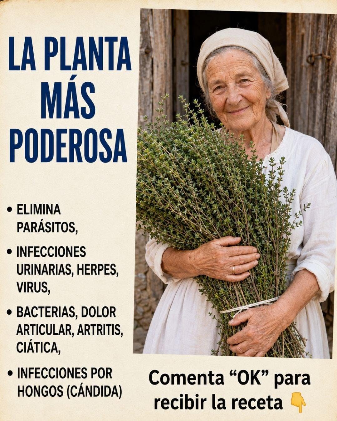 Descubre los Poderosos Beneficios de las Hojas de Neem para Tu Salud