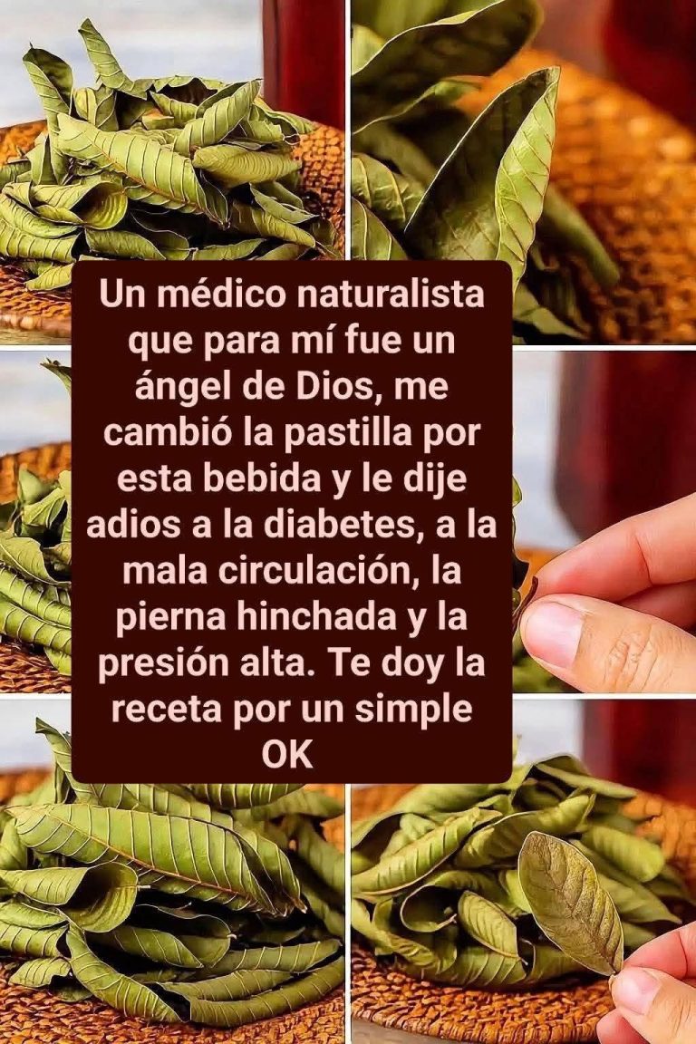 Laurel y Canela: Una combinación poderosa para tu salud