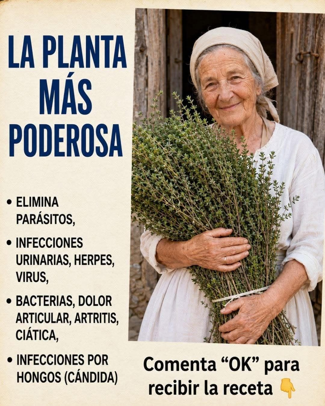 Hojas ancestrales usadas tradicionalmente para apoyar la salud de la piel y combatir hongos