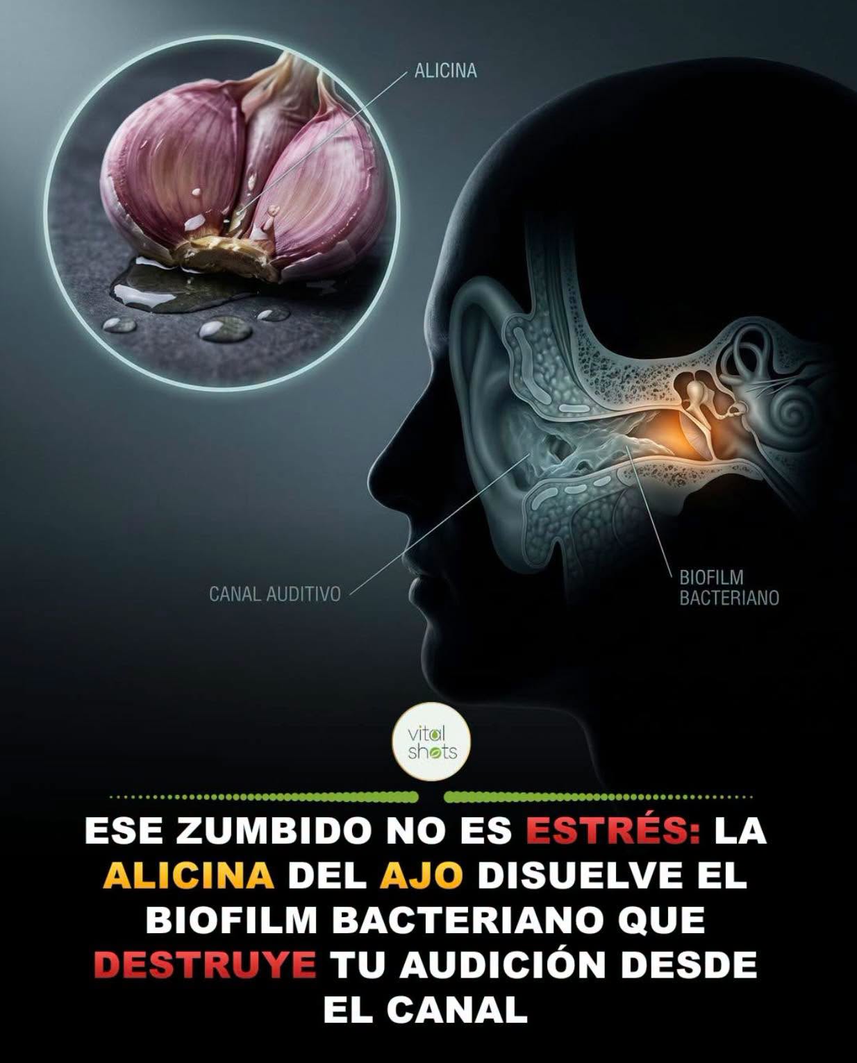 ¡Esto es lo que el Ajo puede hacer por ti!