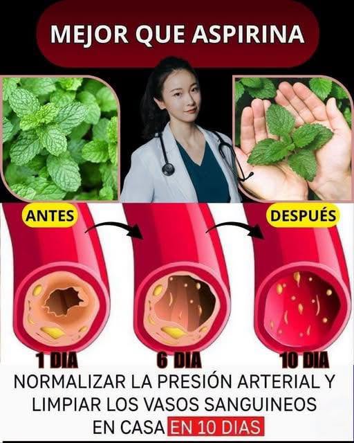 Té de salvia para la memoria y las articulaciones: apoyo natural contra la inflamación y el dolor