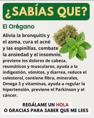 Si tienes esta planta en tu casa, tienes un tesoro y no lo sabías