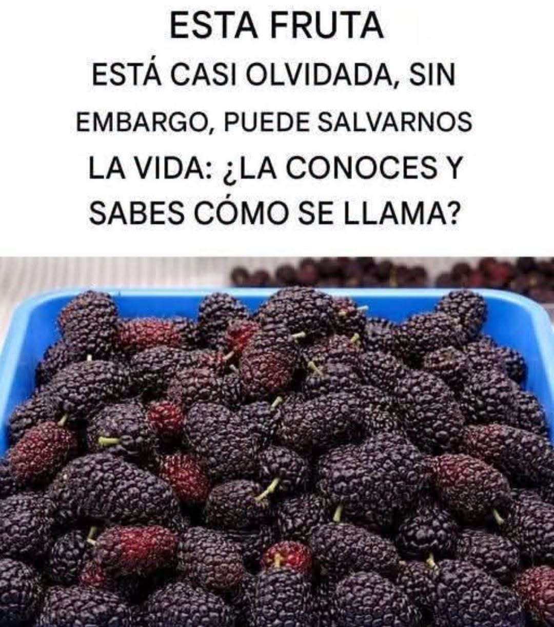 Esta fruta está casi olvidada, pero puede salvarnos la vida