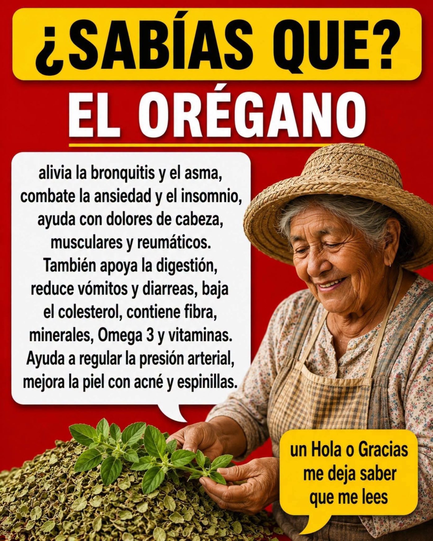 El orégano y todo lo que aporta a tu bienestar diario 🌿✨