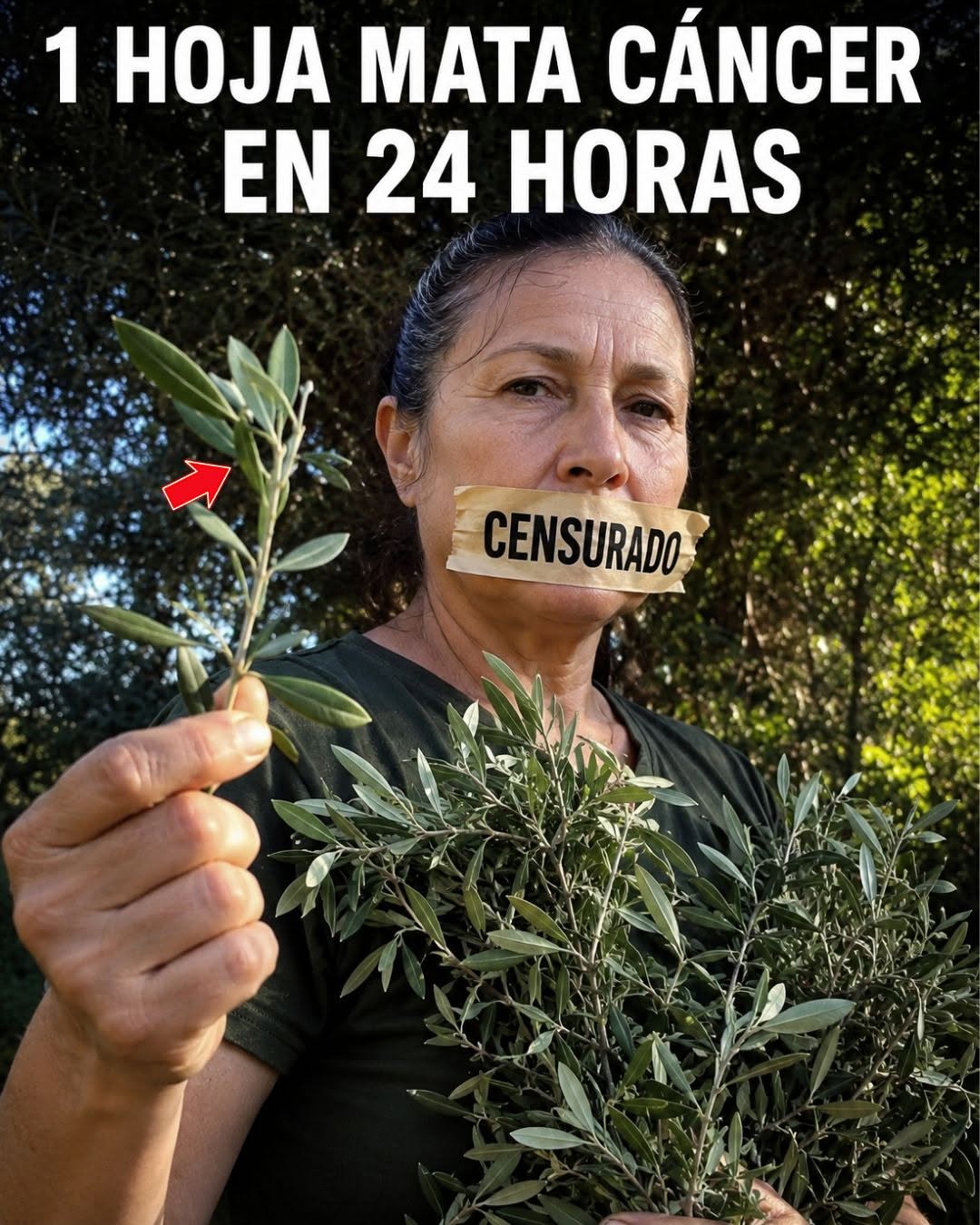 ¡La hoja milagrosa que revoluciona la salud y pocos conocen!