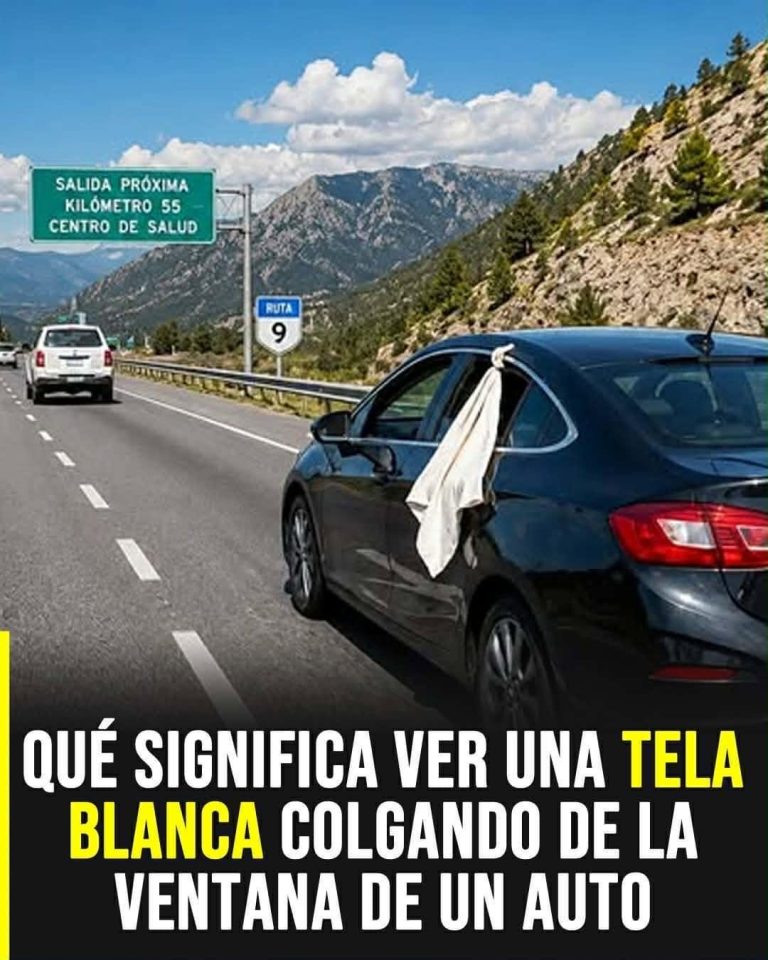 Tela blanca en la ventanilla del auto: el significado de esta señal que muchos conductores usan en la ruta