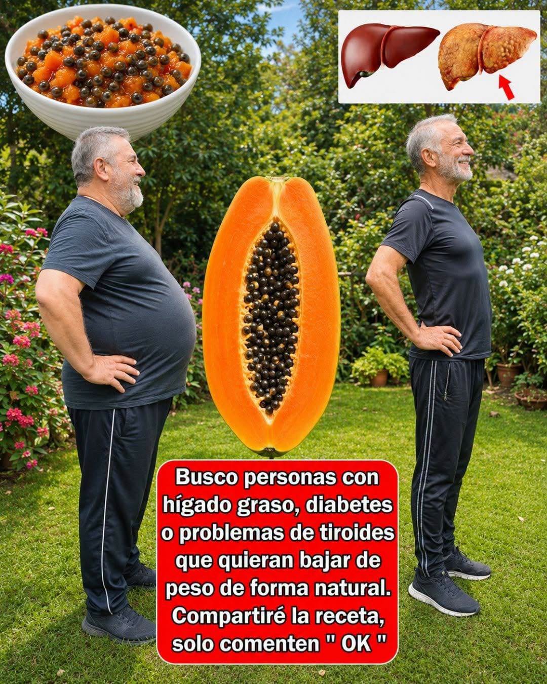 Poder oculto de las semillas de papaya para un hígado sano y un vientre plano