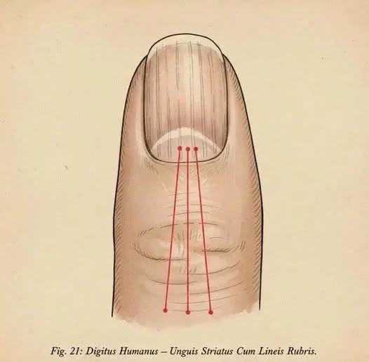 Transforma la Salud de Tus Uñas con un Remedio Natural