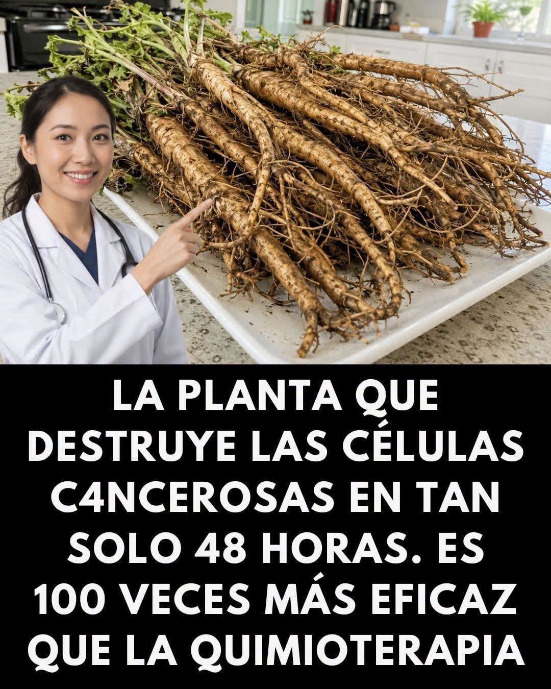 Descubre los Poderosos Beneficios de las Hojas de Neem para Tu Salud