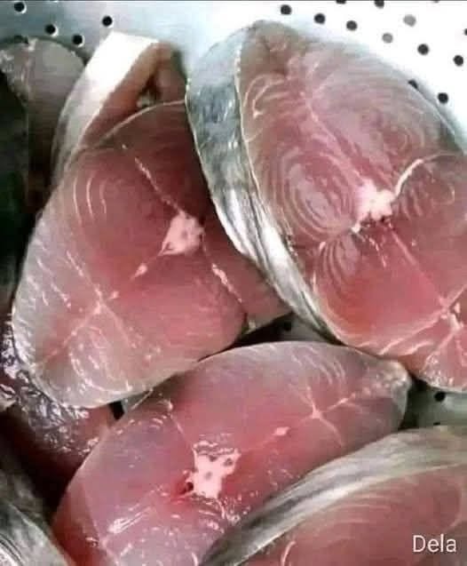 Comer pescado: estos son los beneficios que puede aportar a tu salud