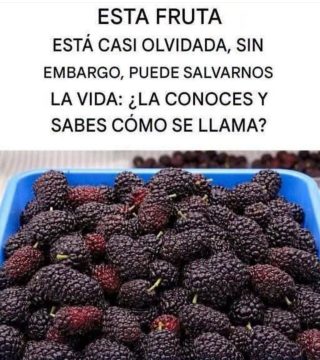 La fruta más poderosa: Cómela 1 vez por la noche y tu cuerpo te lo agradecerá.