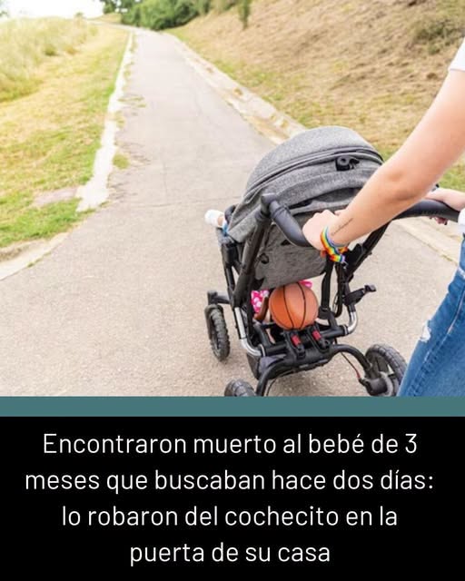 Encontraron muerto al bebé de 3 meses que buscaban hace dos días: lo robaron del cochecito en la puerta de su casa