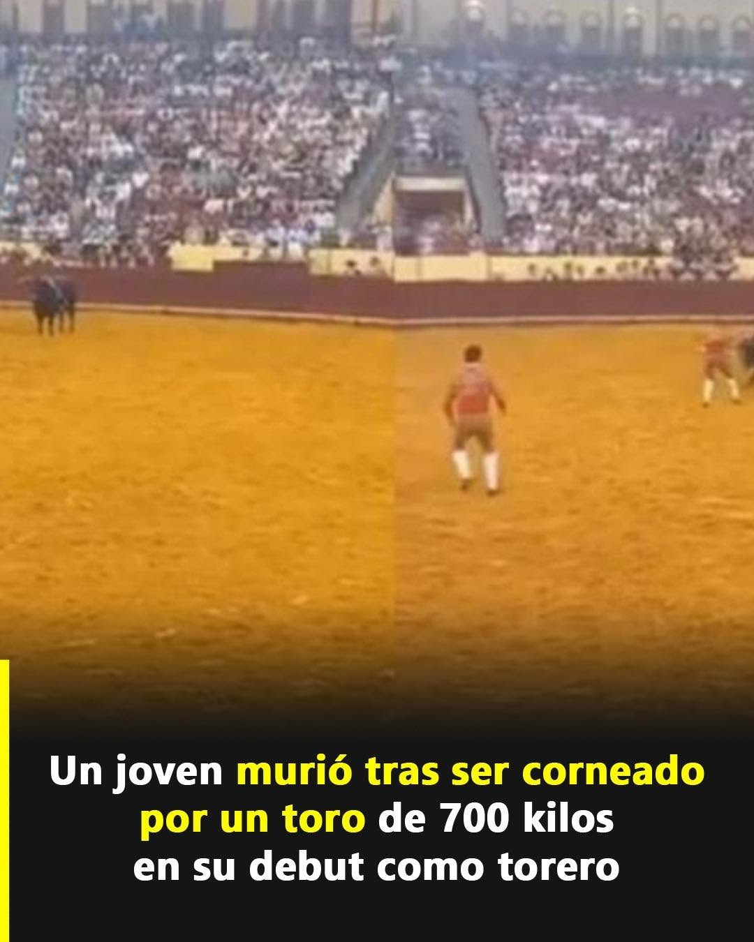 Tragedia en Lisboa: muere un joven torero durante su primera corrida en Campo Pequeno