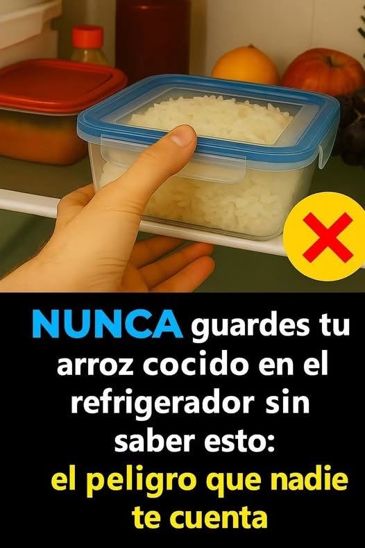 Alimentos que nunca debes recalentar.