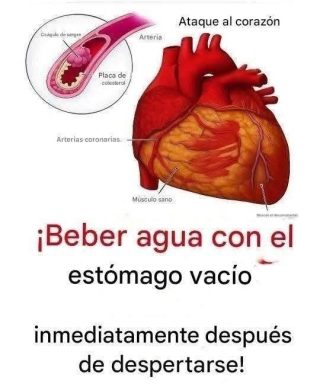Por este motivo es beneficioso tomar agua en ayunas