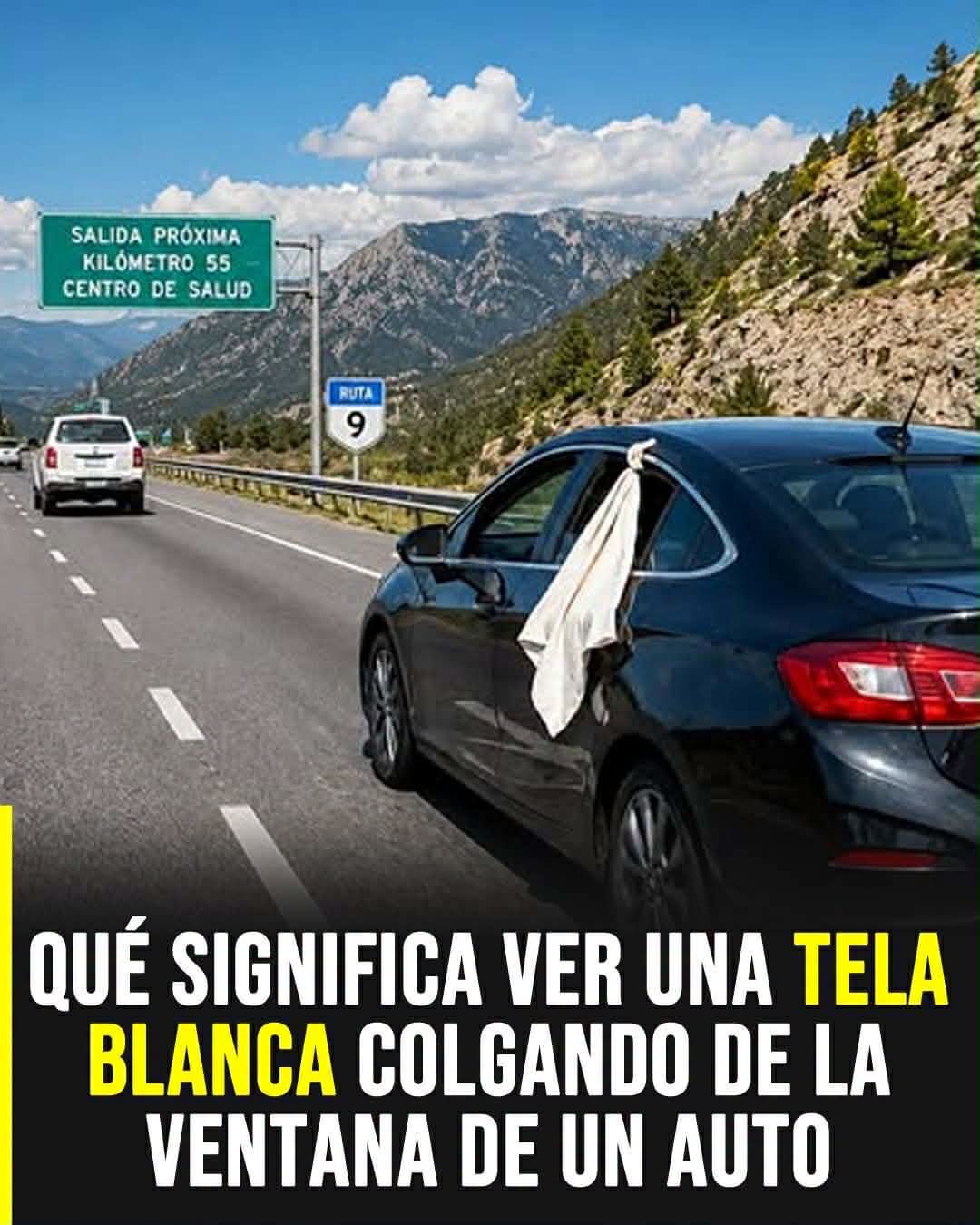Tela blanca en la ventanilla del auto: el significado de esta señal que muchos conductores usan en la ruta