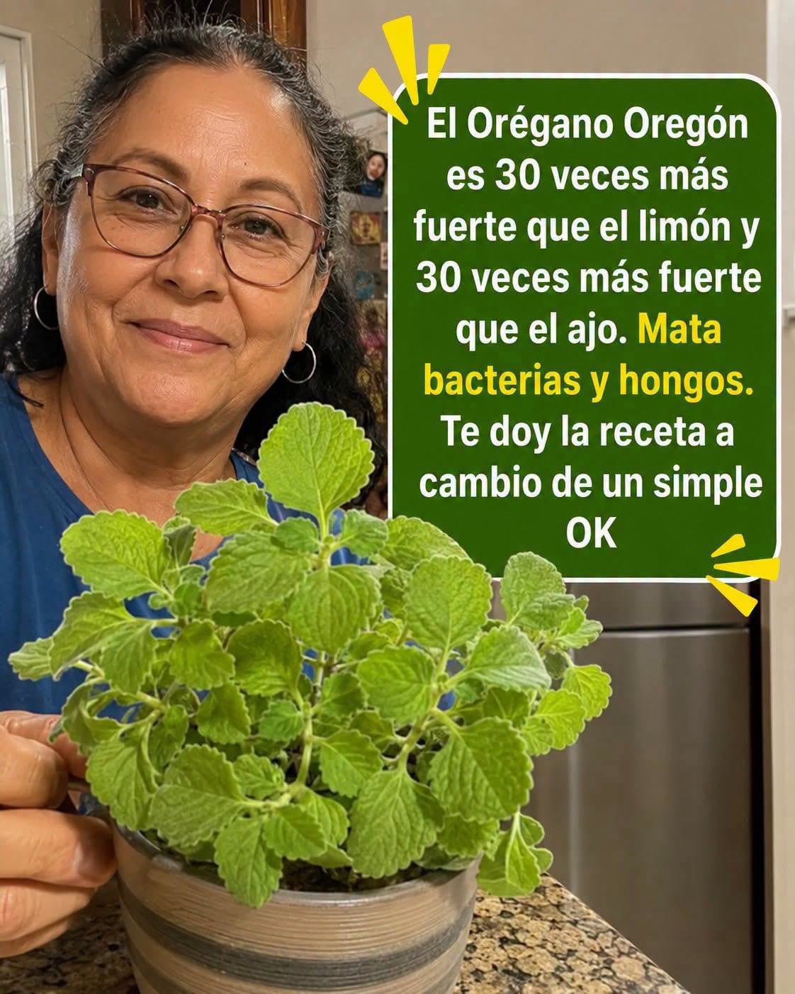 Orégano Orejón: un aliado natural para cuidar la vista