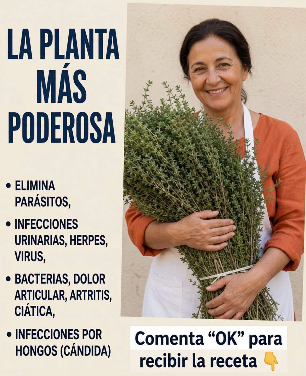 El orégano y todo lo que aporta a tu bienestar diario 🌿✨