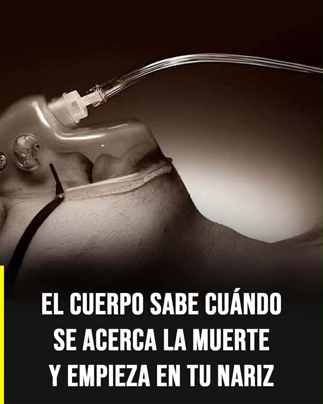 El olor que algunas personas perciben antes de la muerte: qué dice la ciencia y por qué ocurre