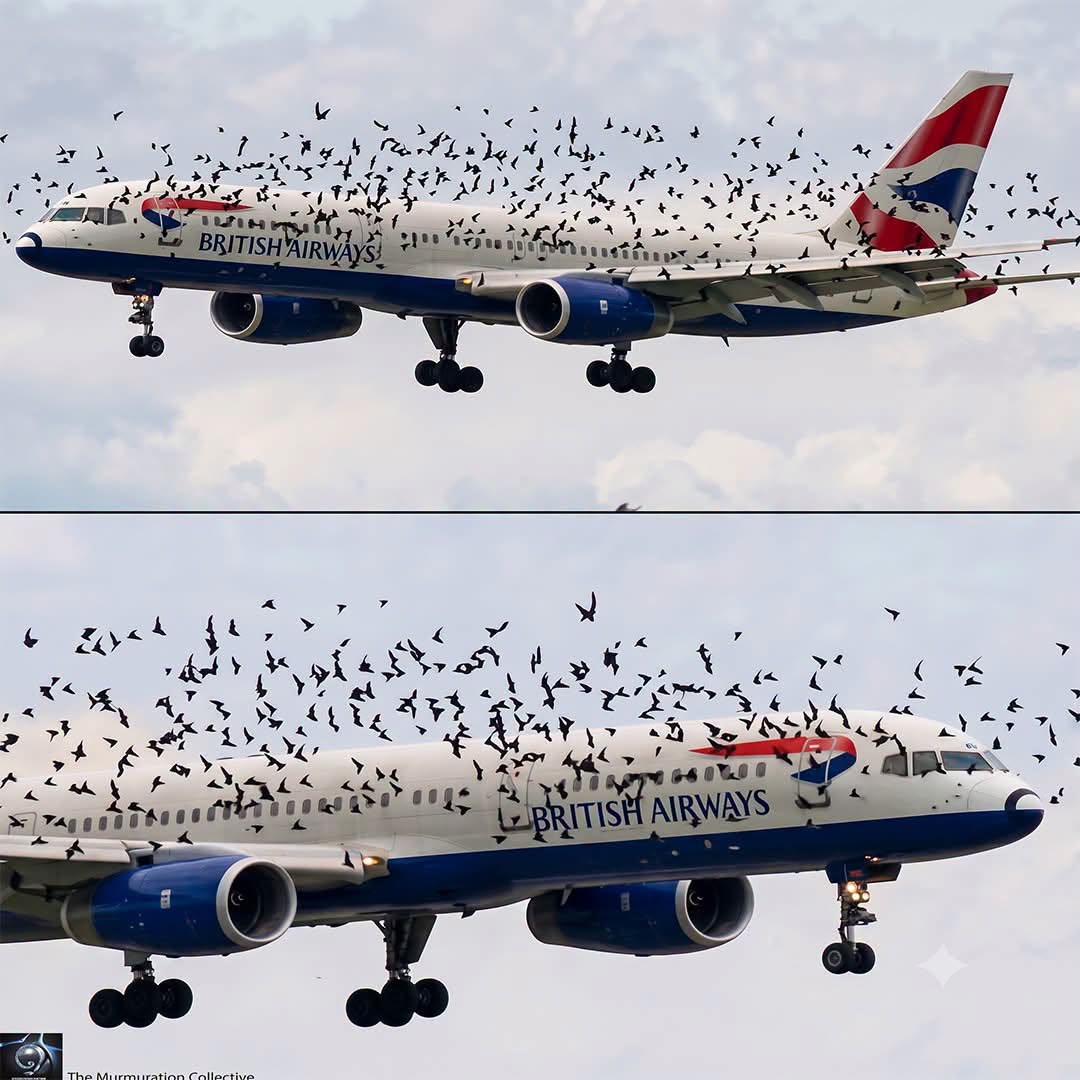 Un vuelo que parecía normal terminó viviendo un momento inesperado en pleno recorrido