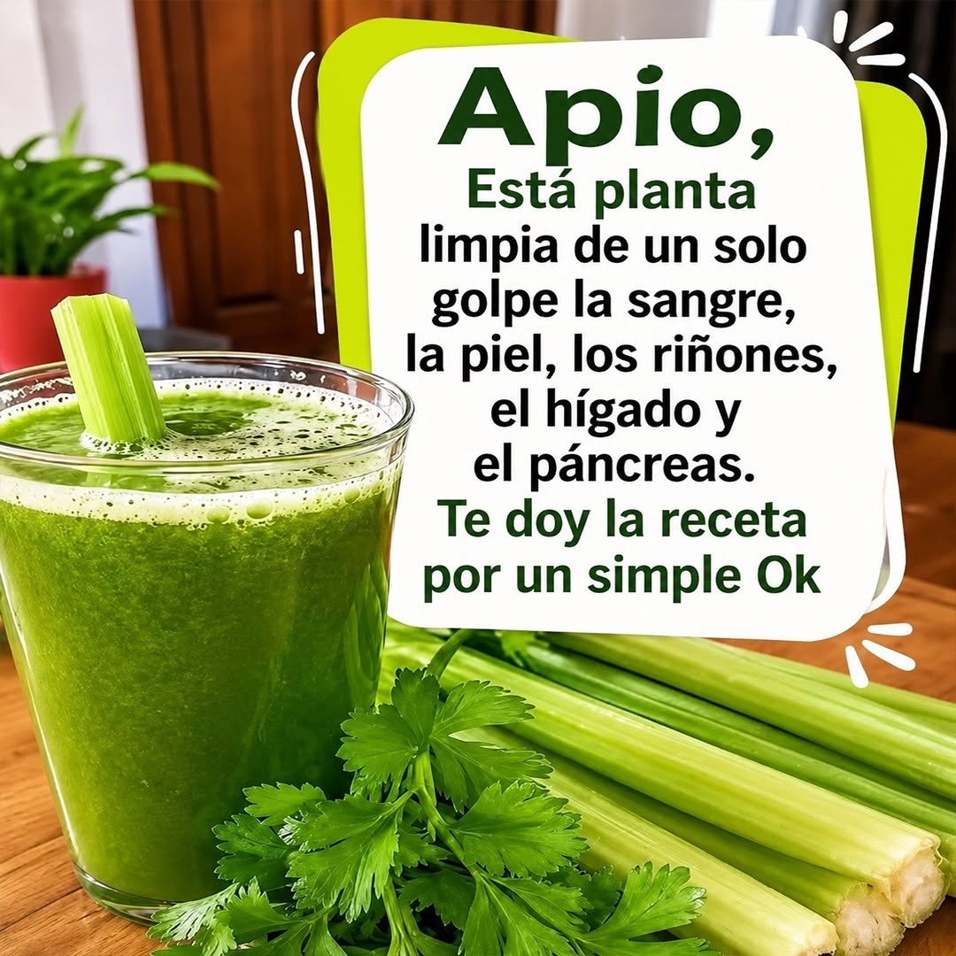 Apio: el vegetal humilde que puede transformar tu salud