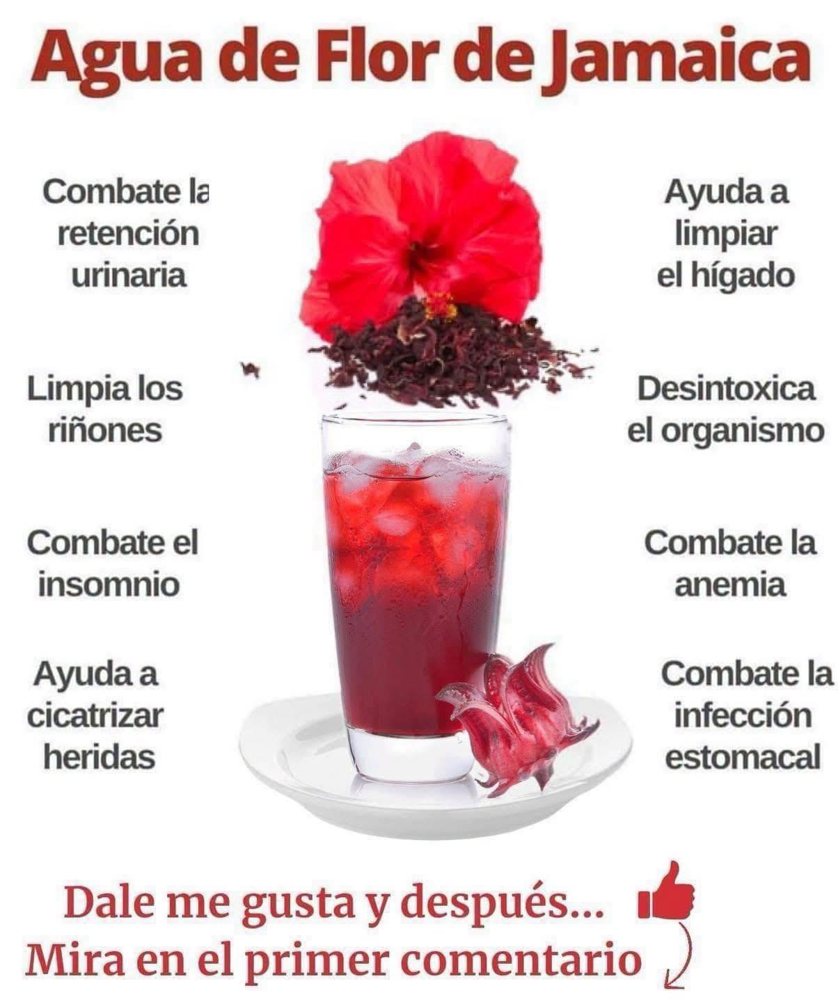 La flor de Jamaica: el jugo natural que está conquistando a miles de personas