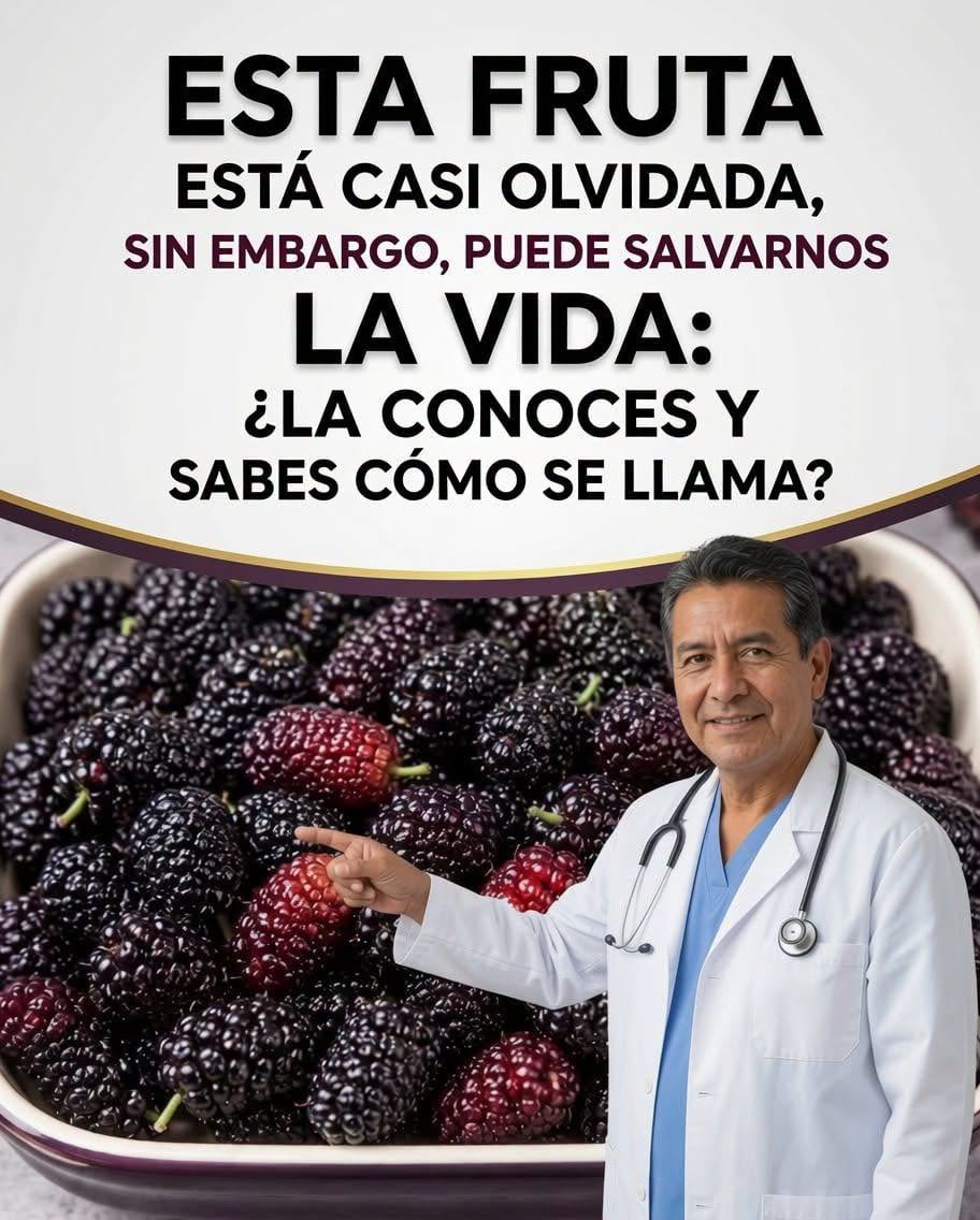 Las Moras la Fruta Olvidada que Podría Transformar tu Salud