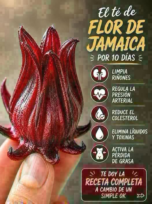 Propiedades y beneficios del té de jamaica, canela y laurel: para qué sirve y cómo prepararlo