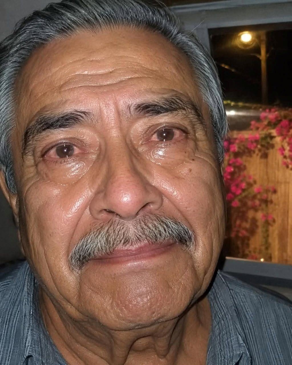 LLEVABA MESES MOLESTA PORQUE EL ANCIANO DE AL LADO DEJABA QUE SUS ENORMES PLANTAS LLENARAN MI ENTRADA DE HOJAS SECAS. AYER ENTRÉ A RECLAMARLE PORQUE SU PERRO NO PARABA DE LLORAR.