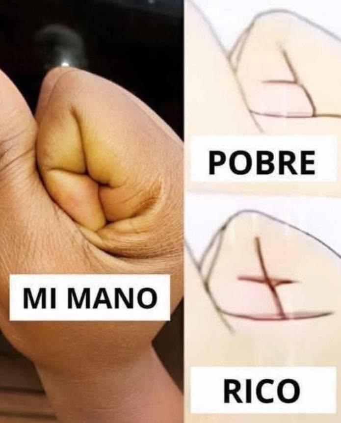 ¿Las líneas de la mano revelan si serás rico o pobre? Mito, realidad y consejos financieros