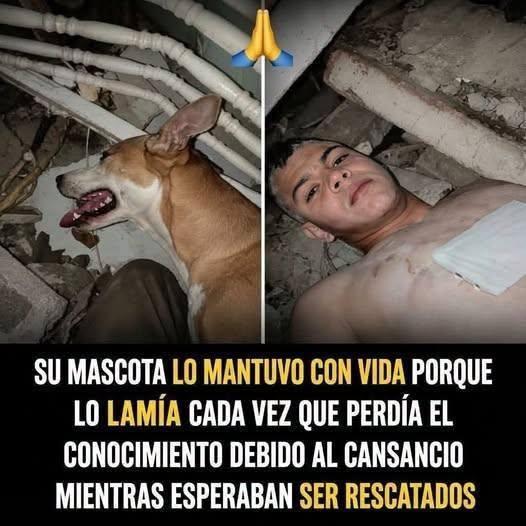 Joven y su perro sobrevivieron 14 días bajo los escombros: lo que se sabe del rescate
