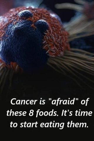 El cáncer tiene “miedo” de estos 8 alimentos.