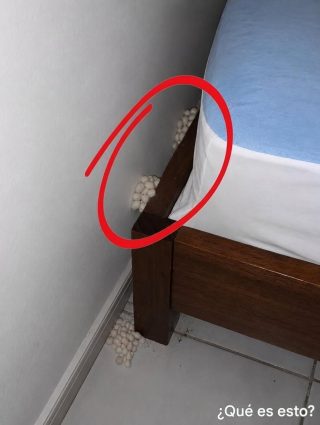 Por la noche, después de un largo día en el trabajo, llegué a casa cansado, con la esperanza de dormir y descansar. Cerca de mi cama, de repente me di cuenta de esto. Sinceramente, estaba muy asustada. Después de que el miedo pasó, comencé a examinarlo cuidadosamente, tratando de entender lo que era, pero todavía no puedo resolverlo. ¿Alguien sabe lo que es esto? Revisa el primer comentario para la respuesta