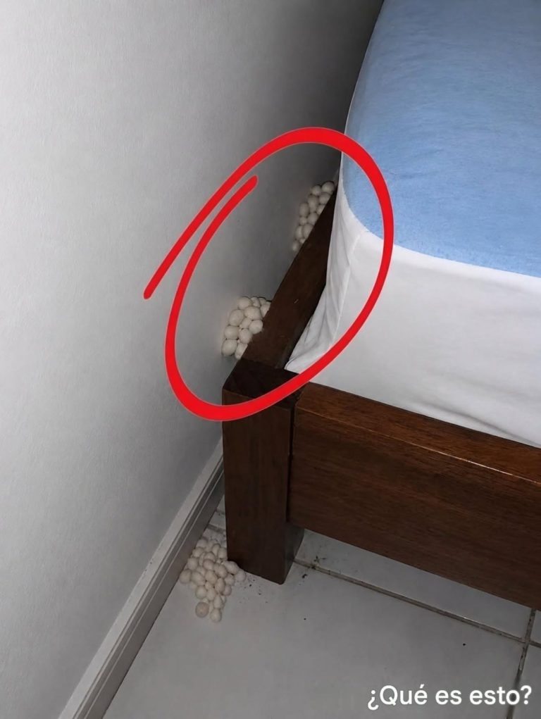 Por la noche, después de un largo día en el trabajo, llegué a casa cansado, con la esperanza de dormir y descansar. Cerca de mi cama, de repente me di cuenta de esto. Sinceramente, estaba muy asustada. Después de que el miedo pasó, comencé a examinarlo cuidadosamente, tratando de entender lo que era, pero todavía no puedo resolverlo. ¿Alguien sabe lo que es esto? Revisa el primer comentario para la respuesta