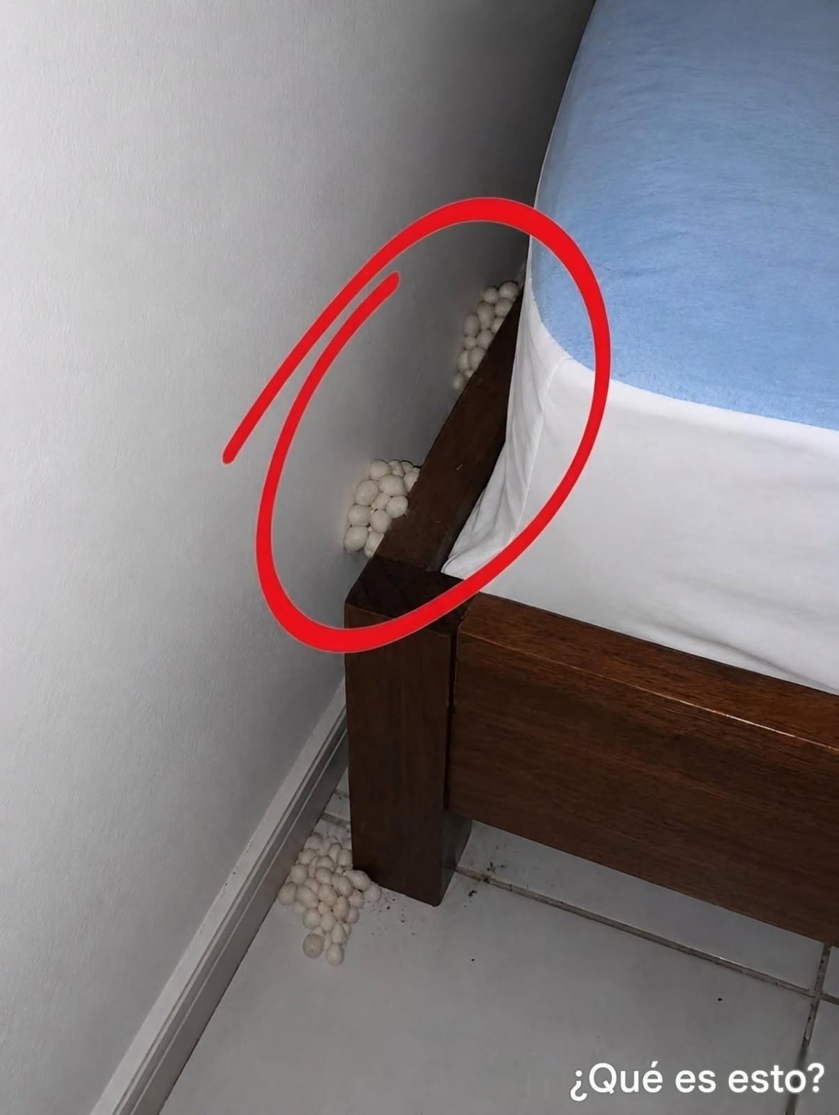 Por la noche, después de un largo día en el trabajo, llegué a casa cansado, con la esperanza de dormir y descansar. Cerca de mi cama, de repente me di cuenta de esto. Sinceramente, estaba muy asustada. Después de que el miedo pasó, comencé a examinarlo cuidadosamente, tratando de entender lo que era, pero todavía no puedo resolverlo. ¿Alguien sabe lo que es esto? Revisa el primer comentario para la respuesta